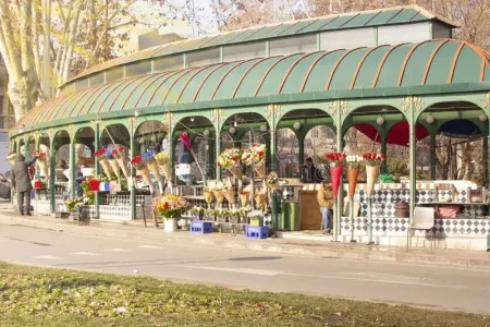 Orbeliani Flower Market, Tbilisi